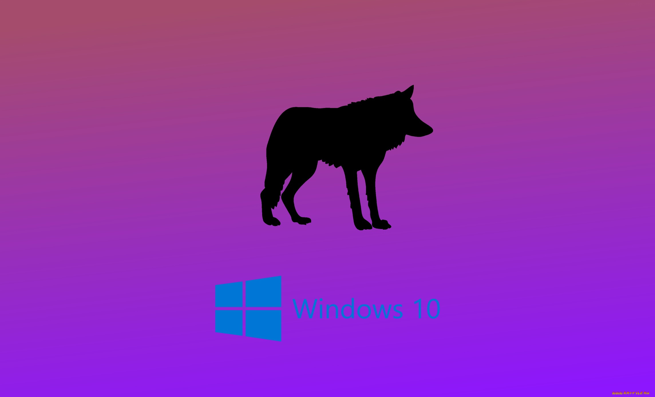 ����������, windows  10, ���, �������